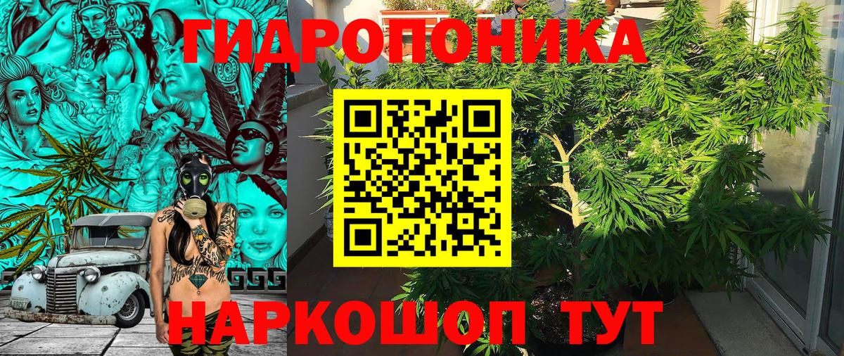 Бошки марихуана Ganja  Бошки Шишки White Widow  Вход с VPN  Конопля планчик  Приморско-Ахтарск 